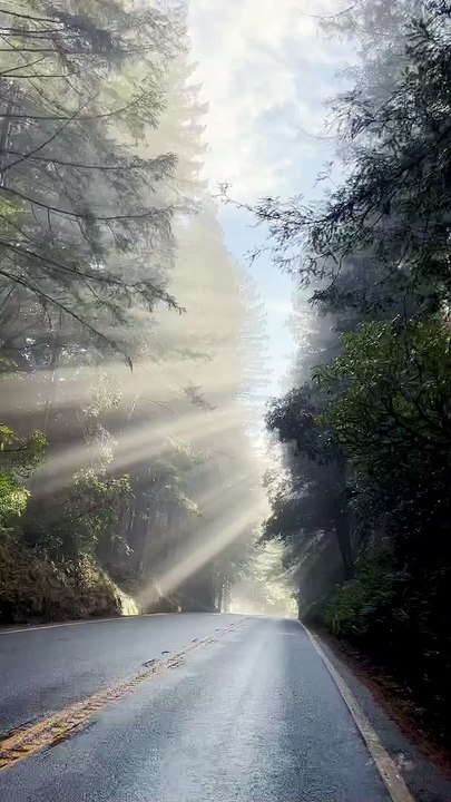 Apple iPhone 14 Camera Testing