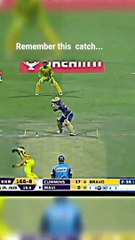 Like or Dislike for this catch