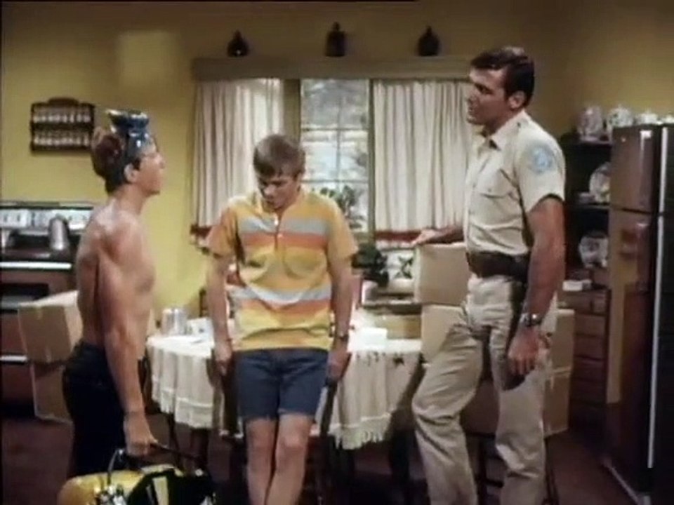 Flipper staffel 3 folge 1 hd deutsch