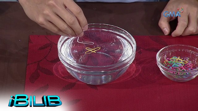iBilib: Floating heart-shaped paper clip experiment! (Prove It to Bilib It)