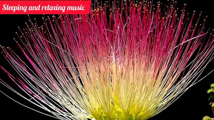 Soothing music | strong positive energy  | Morning meditation music | Deep sleep music