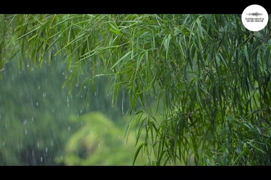 Çalıkuşu Müziği | Enstrümantal Müzik | ♫ ♫ ♫ Duygusal Fon Müziği ♫ ♫ ♫