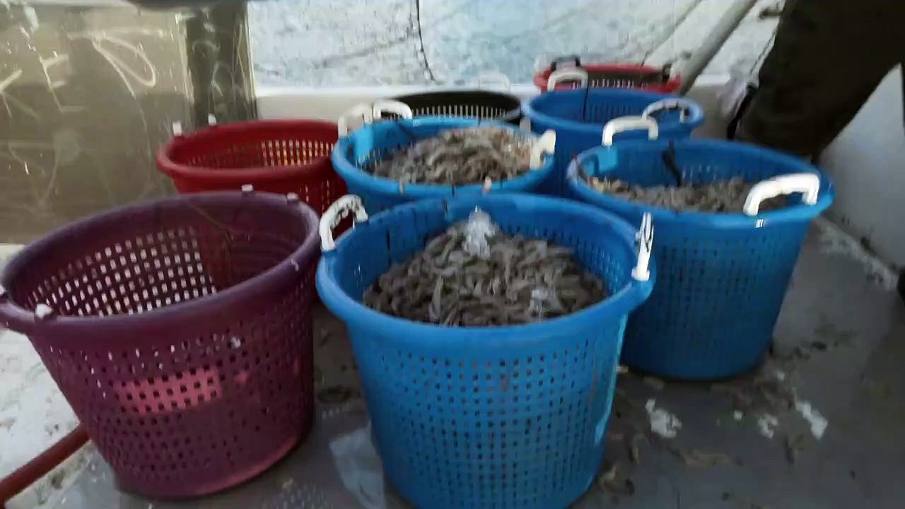 Louisiana Law - Die Wildlife-Ranger Staffel 2 Folge 4 HD Deutsch