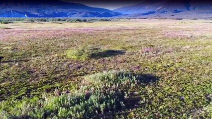 Russlands weite Wildnis Staffel 1 Folge 1 HD Deutsch