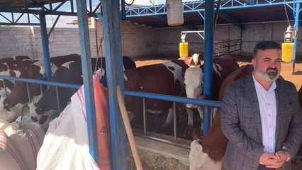 Son dakika haberleri... Niğdeli Besici: Süte Zam Yok Ancak Geçen Yıl 40 Lira Olan Peynir, Şu Anda 150 Lira