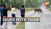 Viral Video: Men Dangerously Take Selfies With Tiger, IFS Officer Warns Against Such Weird Behaviour