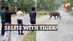 Viral Video: Men Dangerously Take Selfies With Tiger, IFS Officer Warns Against Such Weird Behaviour