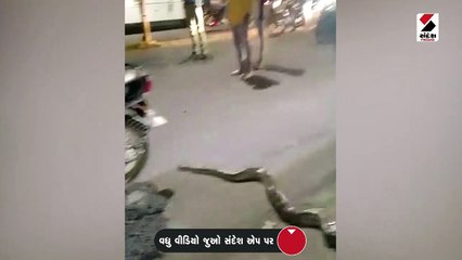 અમરેલીના સાવરકુંડલામાં ધોધમાર વરસાદ ખાબક્યો