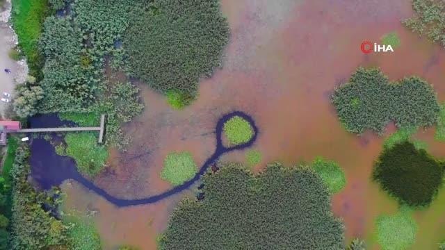 Efteni Gölü, sonbaharda doğaseverleri mest ediyor