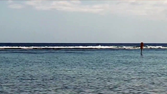 Saline les Bains : Une embarcation trop proche d’une baleine