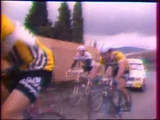 CRITERIUM   NATIONAL    -  1978 -