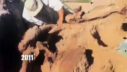 Dino Hunters - Se1 - Ep02 - Million-Dollar Dino HD Watch HD Deutsch