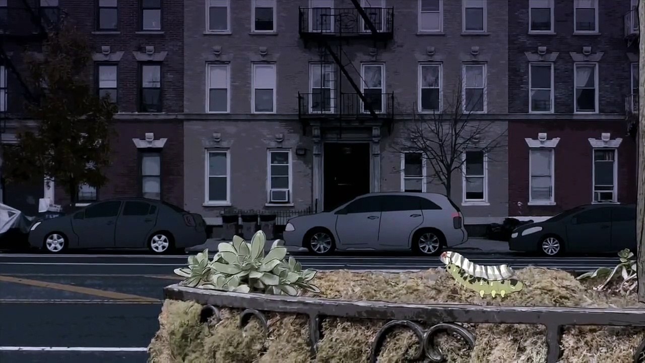 Animals - Se1 - Ep02 - Pigeons HD Watch HD Deutsch