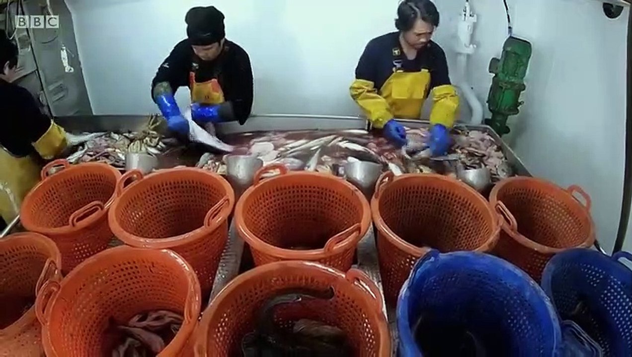 Fish Town - Se1 - Ep03 HD Watch HD Deutsch