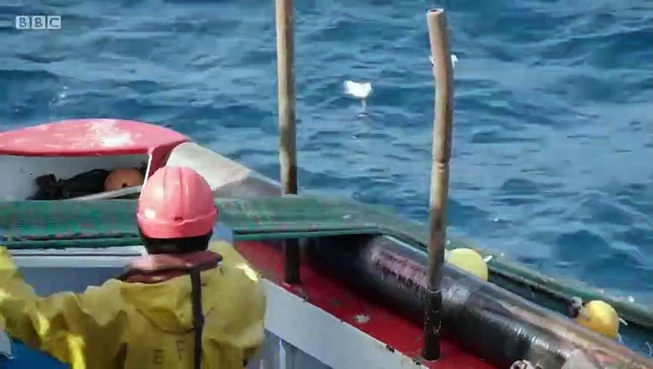 Fish Town - Se1 - Ep04 HD Watch HD Deutsch