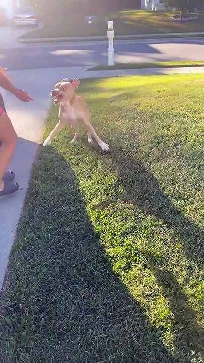 Naughty Dog Steals TP