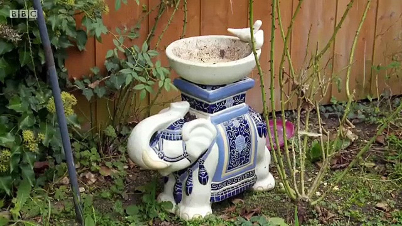 Garden Rescue - Se2 - Ep01 - Fareham HD Watch HD Deutsch