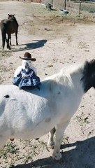 Just a Bird and Her Horse