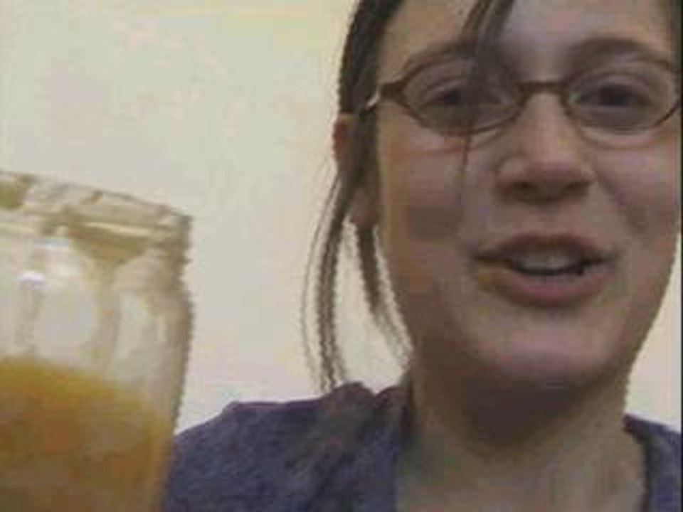 Chat minou 09 Gros chat !