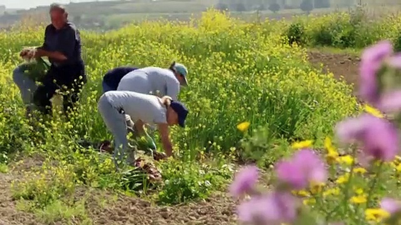 The Hairy Bikers' Mediterranean Adventure - Se1 - Ep01 HD Watch HD Deutsch