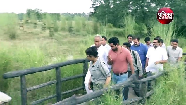 राजस्थान में सियासी घमासान, सीएम गहलोत पहुंचे प्रकृति के बीच, मंत्री भी साथ