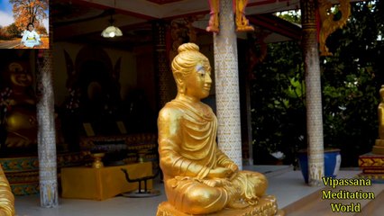 Musical Meditation Guide #meditation #vipassana #rajeshpatil #572011 #dhyan #music #calm #viral