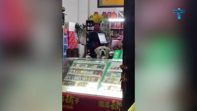 TOP 50 MIND BLOWING MOMENTS CAUGHT ON CAMERA!