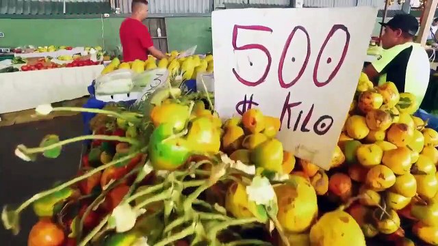 Jungle Life - Se1 - Ep01 - Going Off the Grid HD Watch HD Deutsch