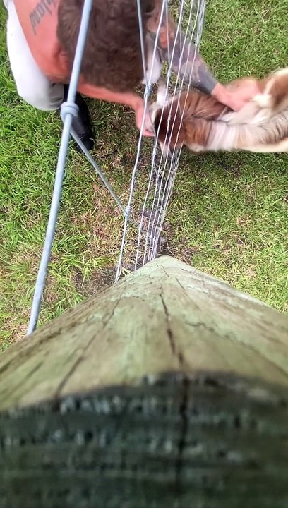 The Grass Isn't Always Greener