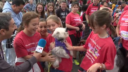 El Perrotón defiende un año más la adopción responsable