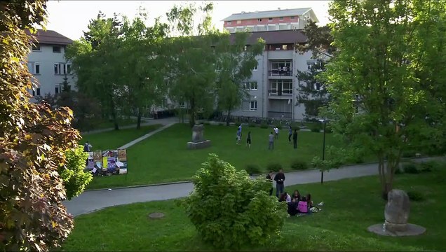 Déboires en Cascade Bande-annonce (EN)