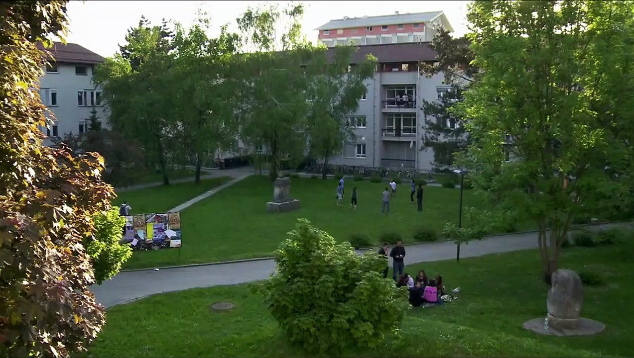 Déboires en Cascade Bande-annonce (EN)