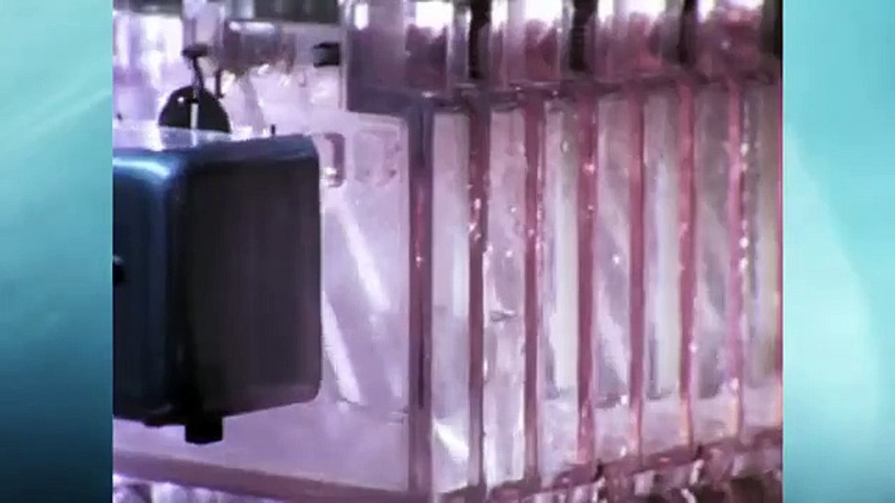 Nature's Strangest Mysteries - Solved - Se1 - Ep01 HD Watch HD Deutsch