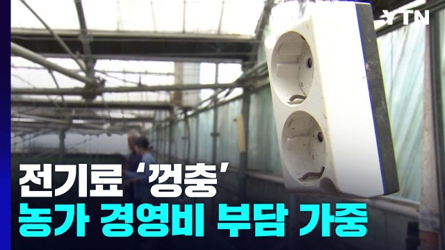 전기료 '껑충'...농가 경영비 부담 가중 / YTN