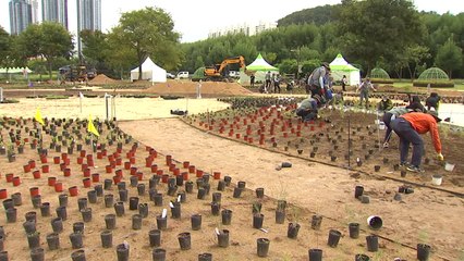 시민 참여 '자연주의 정원'...이달 말 작품 완성 / YTN