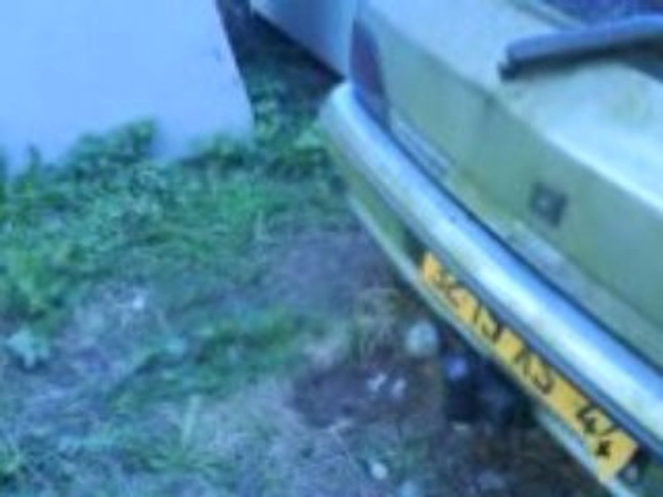 Clio