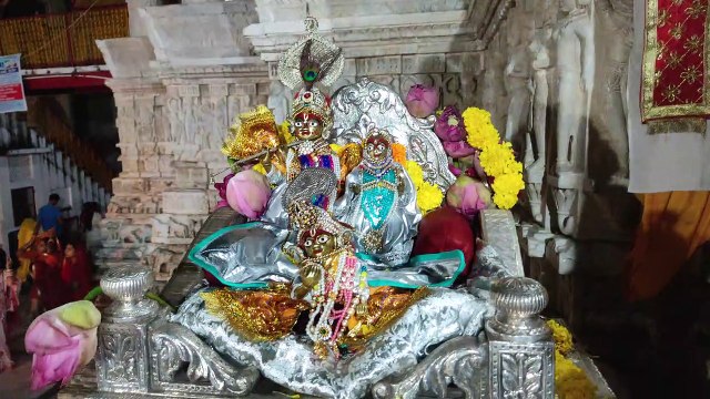 Video... शरद पूर्णिमा पर चन्दमा की धवल रोशनी में बिराजे ठाकुरजी
