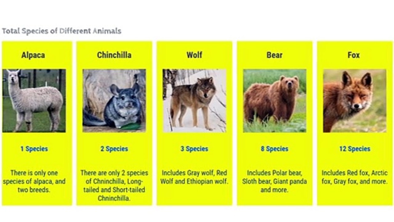 Total Species of Different Animals | Comparison