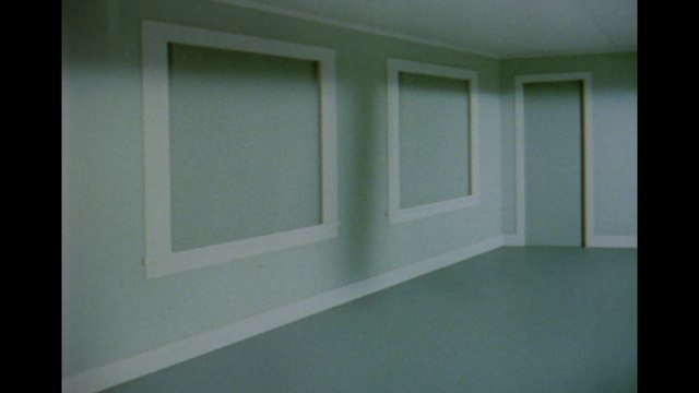 Optical illusion: Can you spot the hidden message in this picture?