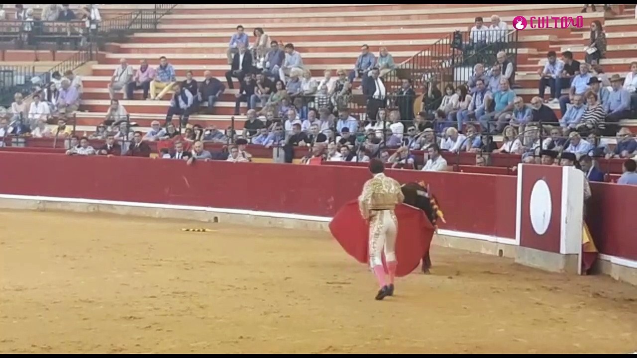 Zaragoza 9-10-2022 concurso