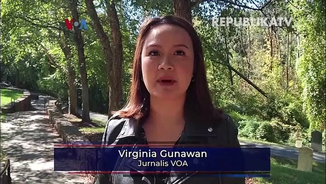 Babak Baru Perang Rusia-Ukraina Pascaklaim Aneksasi Ukraina Timur