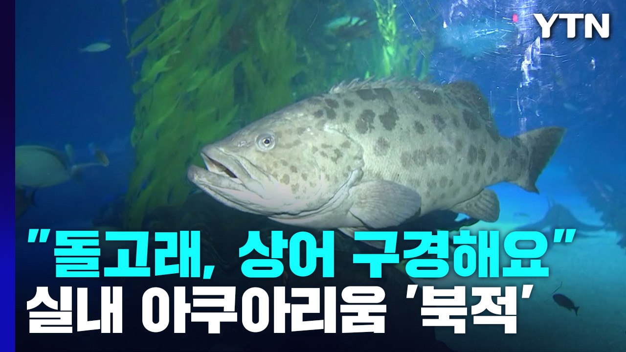 "물고기 보러 왔어요!"...연휴 마지막 날 실내 아쿠아리움 '북적' / YTN