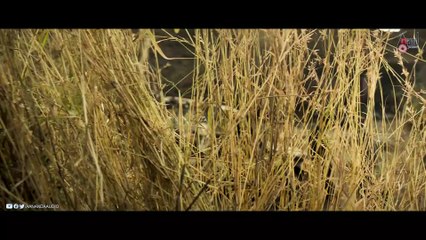 Bad Manners - Birthday Teaser 4K - Abhishek Ambareesh - Rachita Ram - Suri - Charan Raj - Sudeer MK