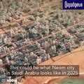 Saudi Arabia the Line one-building city