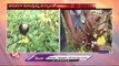 Farmers Facing Problems With Crops Damaged Due To Heavy Rains In Karimnagar _ V6 News