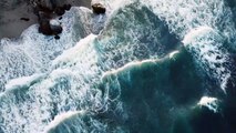 Sea Waves with bird loop | Relaxing white noise ocean | Ocean Wave sounds