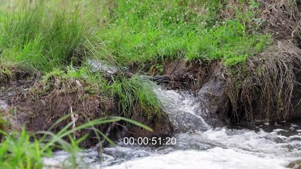 Glengariffe, Greymare, Qld - October 10, 2022 - Farmonline