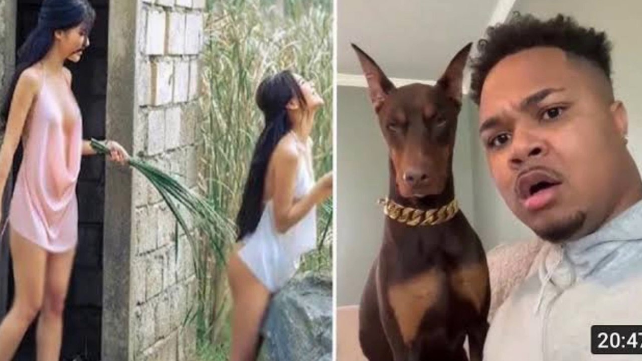 funny dog videos - part #003