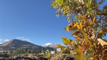 Erzurum haber... Palandöken'in zirvesi beyaza büründü