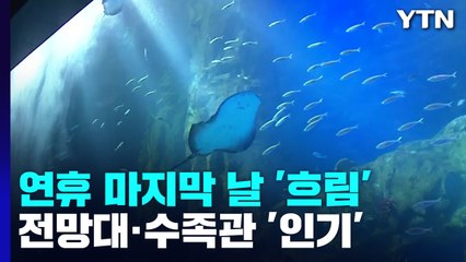 "날씨 흐려도 좋아요!"...연휴 마지막 날 실내 관광지 '인기' / YTN